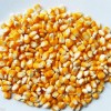 大量求購玉米、大米、高粱、大豆、小麥等釀酒原料