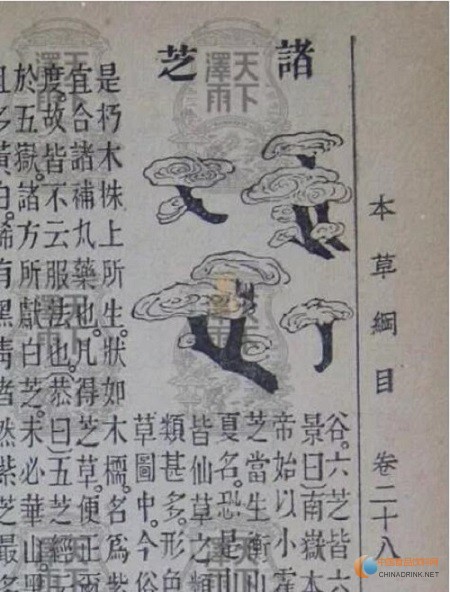 b34fc6275632861f7029c3a68835901f121706.jpg QQ截圖20191223155720.jpg