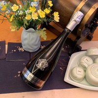 酒廠直供脫醇氣泡酒低度女士無醇起泡酒網(wǎng)紅酒代發(fā)oem定制